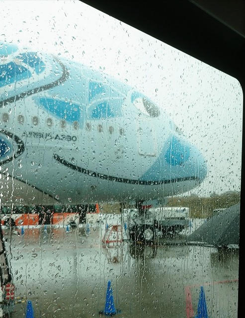 f:id:shingosfc:20211025233210j:plain