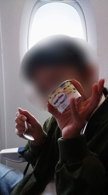 f:id:shingosfc:20211028205013j:plain