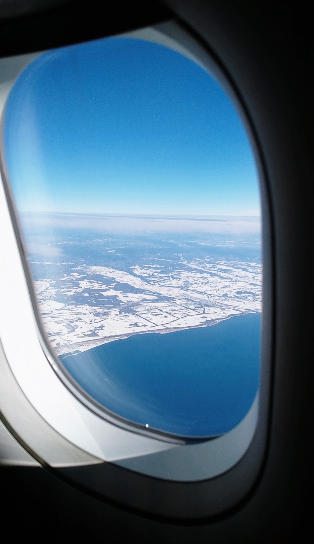 f:id:shingosfc:20230126093341j:image f:id:shingosfc:20230126093341j:image