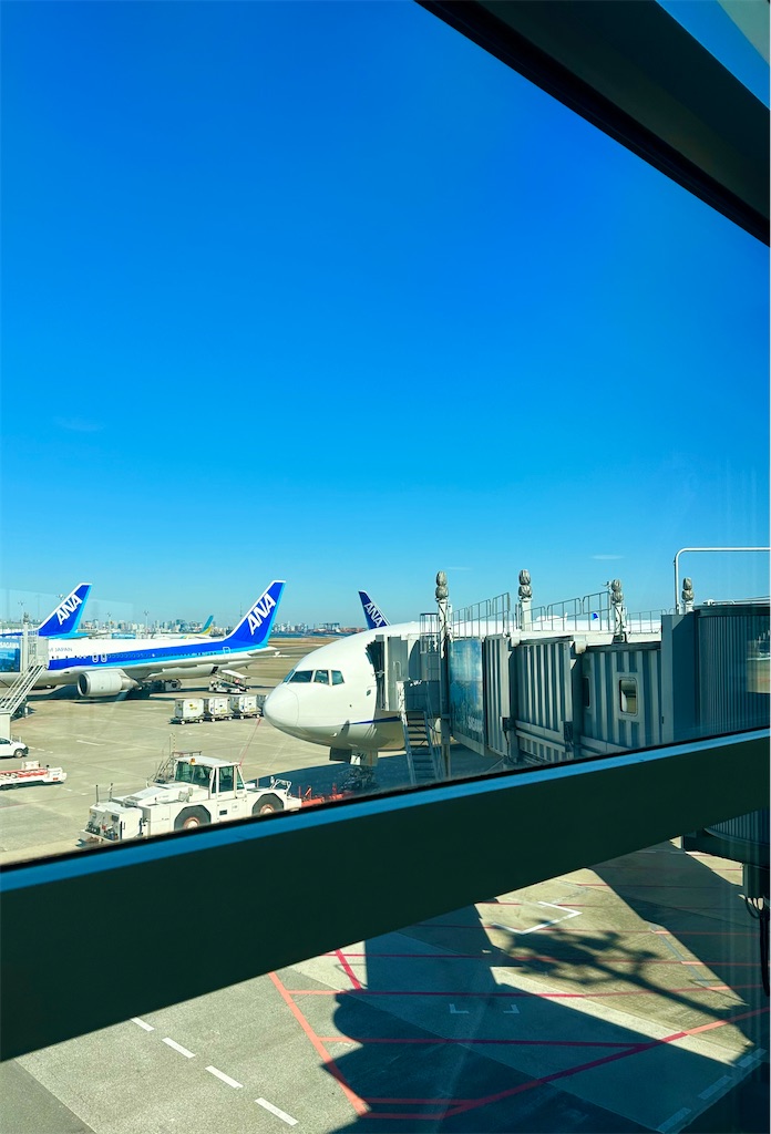 f:id:shingosfc:20230227211836j:image