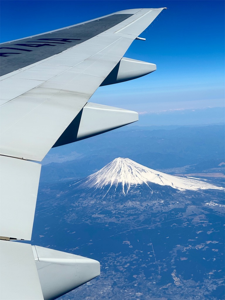 f:id:shingosfc:20230227212134j:image