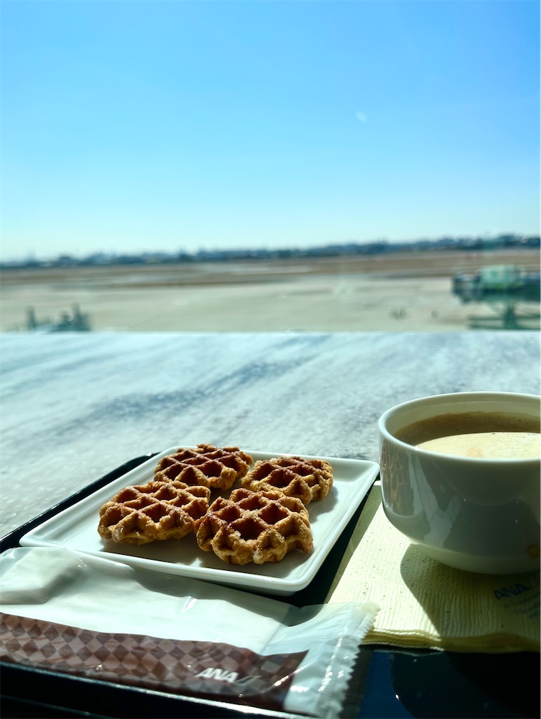 f:id:shingosfc:20230227223848j:image