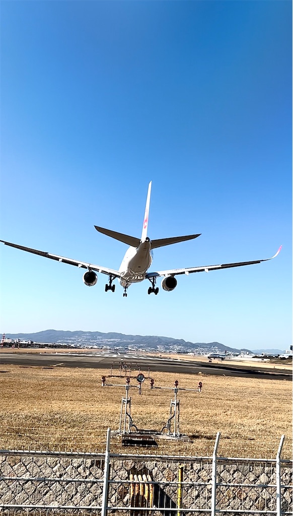 f:id:shingosfc:20230227225816j:image