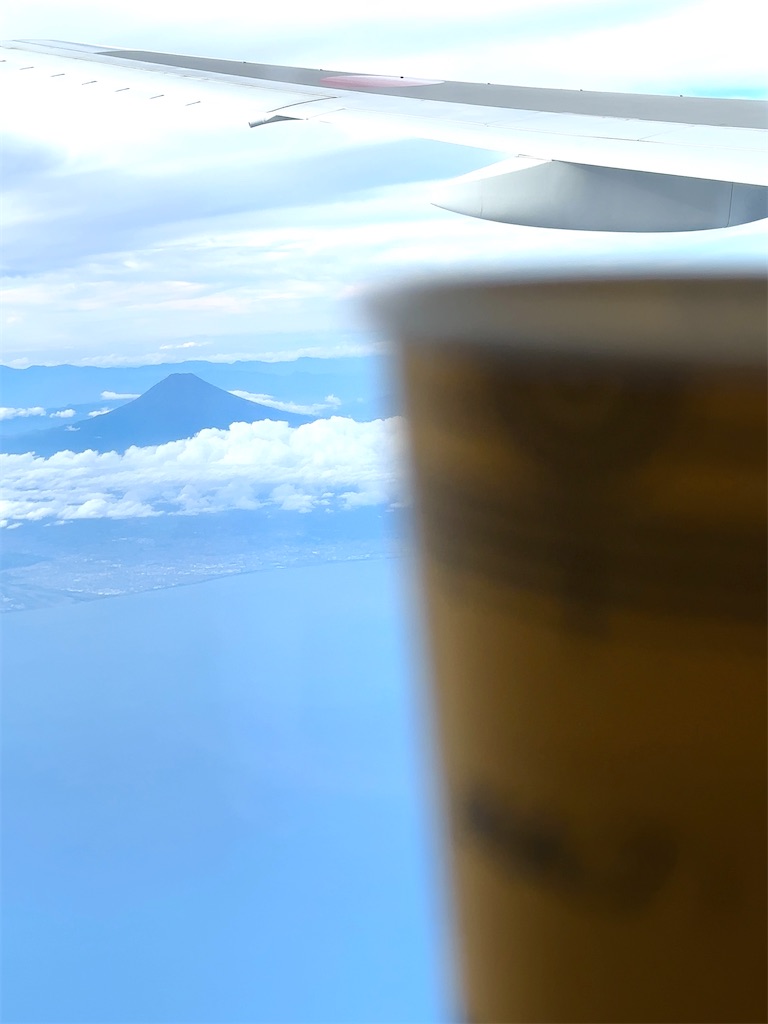 f:id:shingosfc:20230910210032j:image f:id:shingosfc:20230910210032j:image