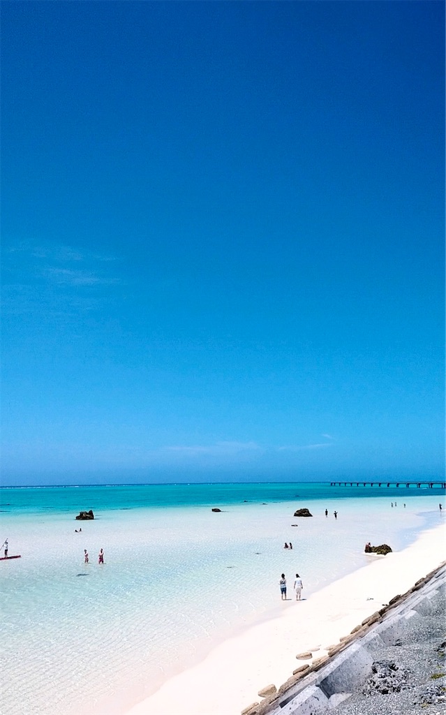 f:id:shingosfc:20240521235607j:image