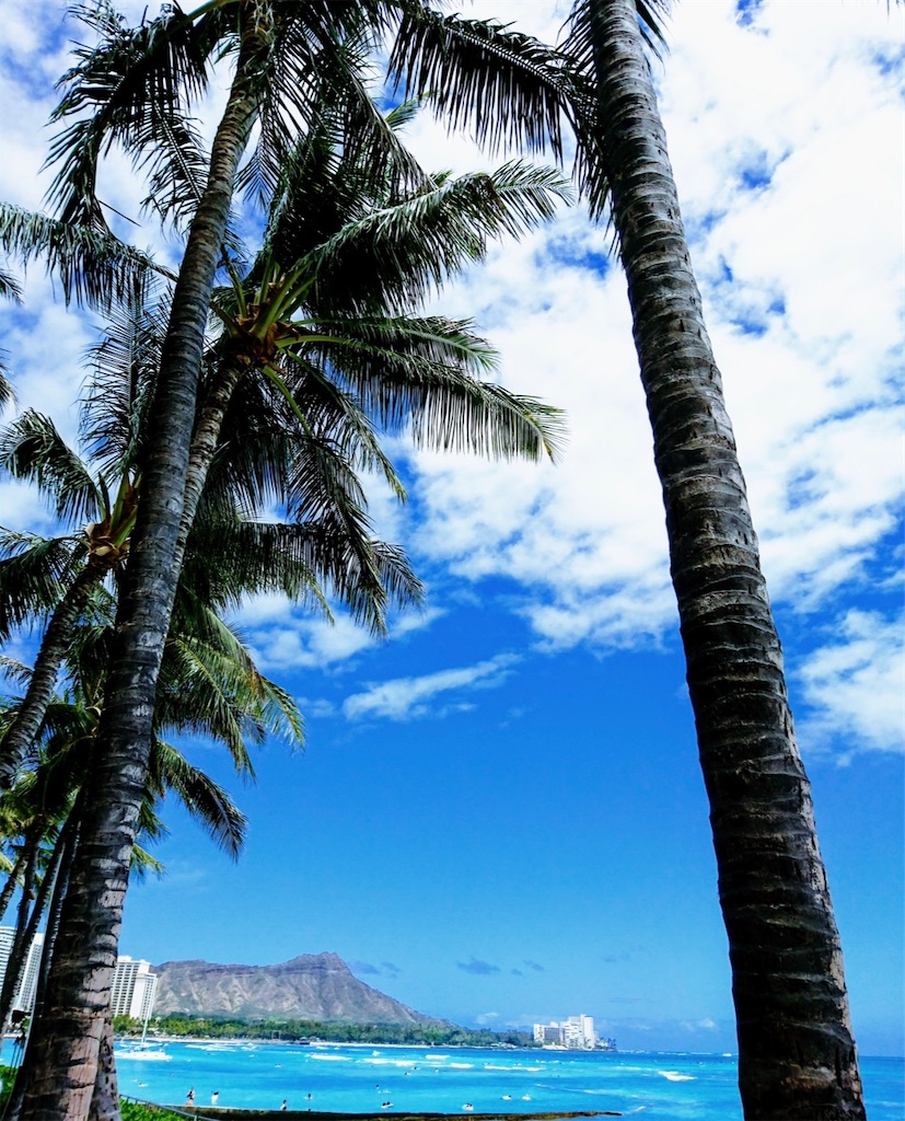 f:id:shingosfc:20240522000245j:image