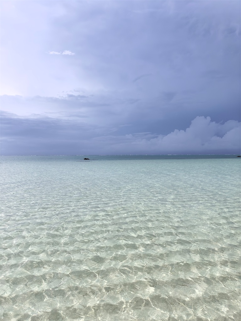 f:id:shingosfc:20240528213818j:image