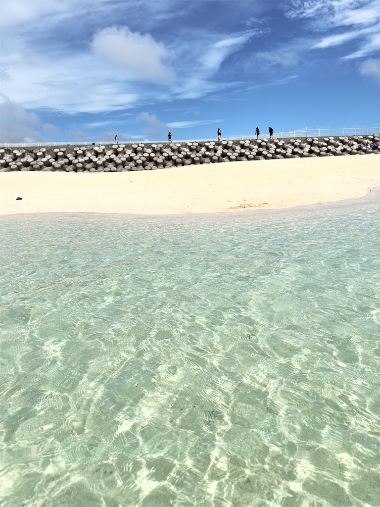 f:id:shingosfc:20240528213827j:image