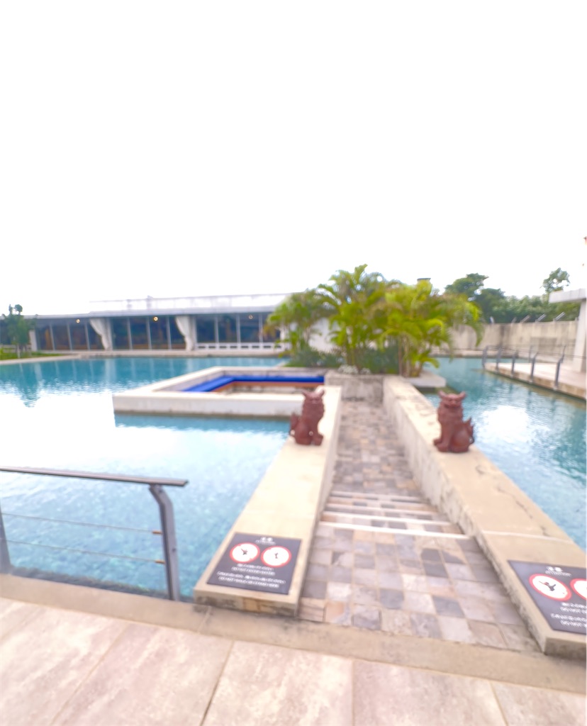 f:id:shingosfc:20240528213832j:image