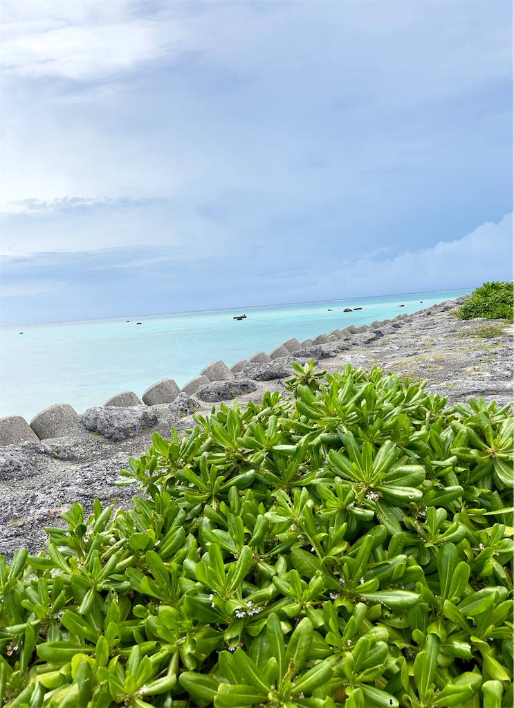 f:id:shingosfc:20240528213838j:image