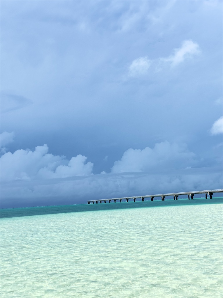 f:id:shingosfc:20240528213841j:image