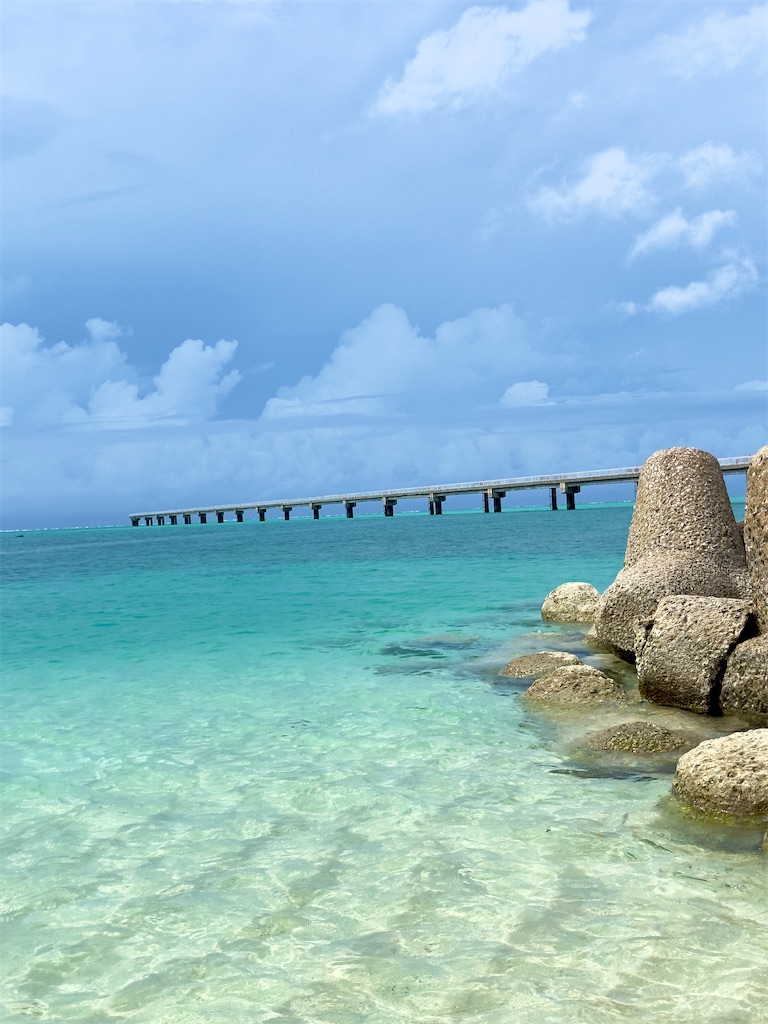 f:id:shingosfc:20240528213847j:image