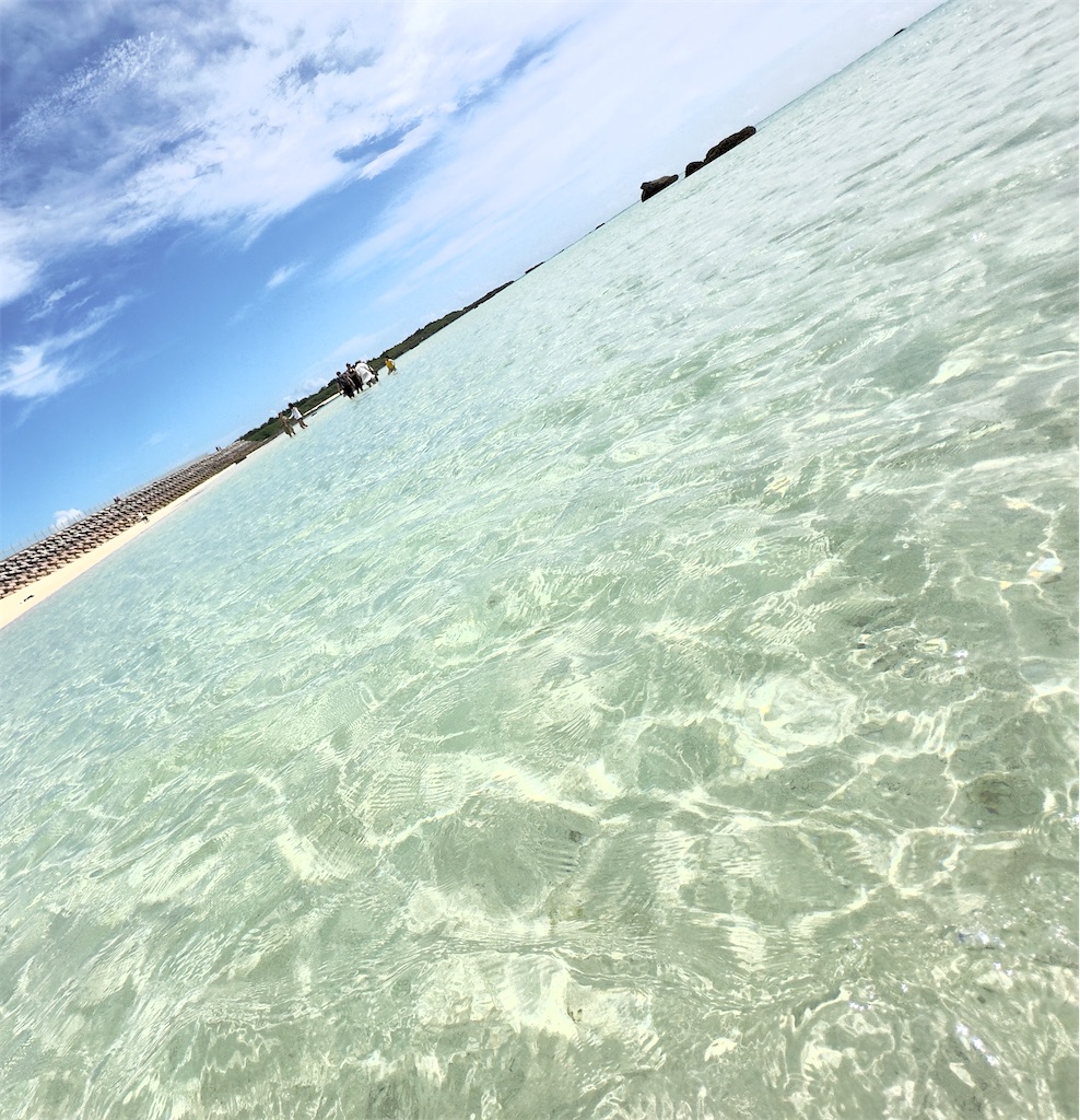 f:id:shingosfc:20240528213902j:image