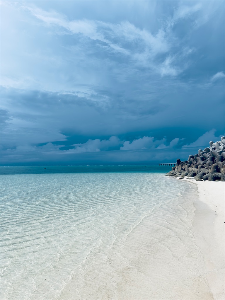 f:id:shingosfc:20240528213905j:image