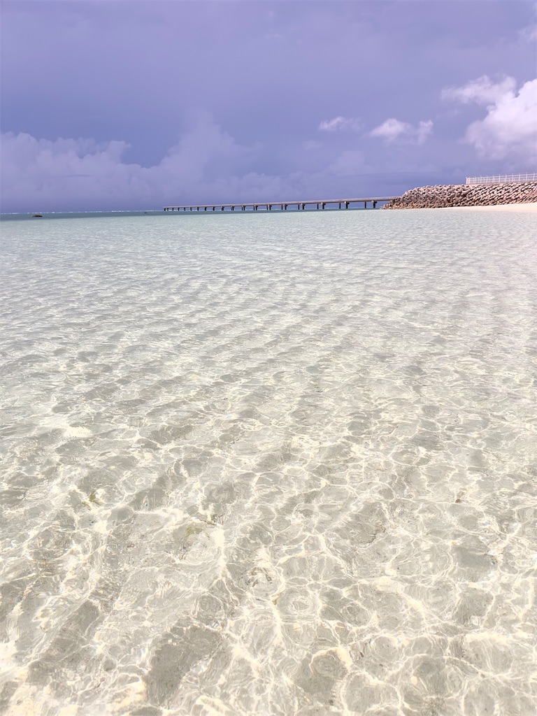 f:id:shingosfc:20240528213908j:image