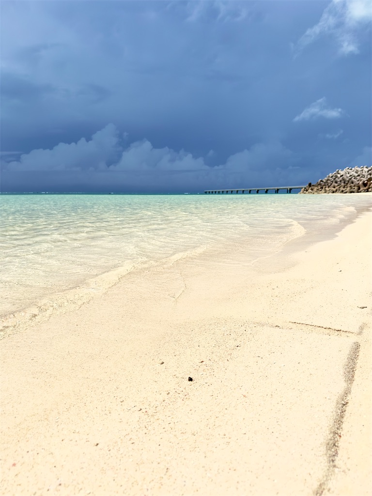 f:id:shingosfc:20240528213911j:image