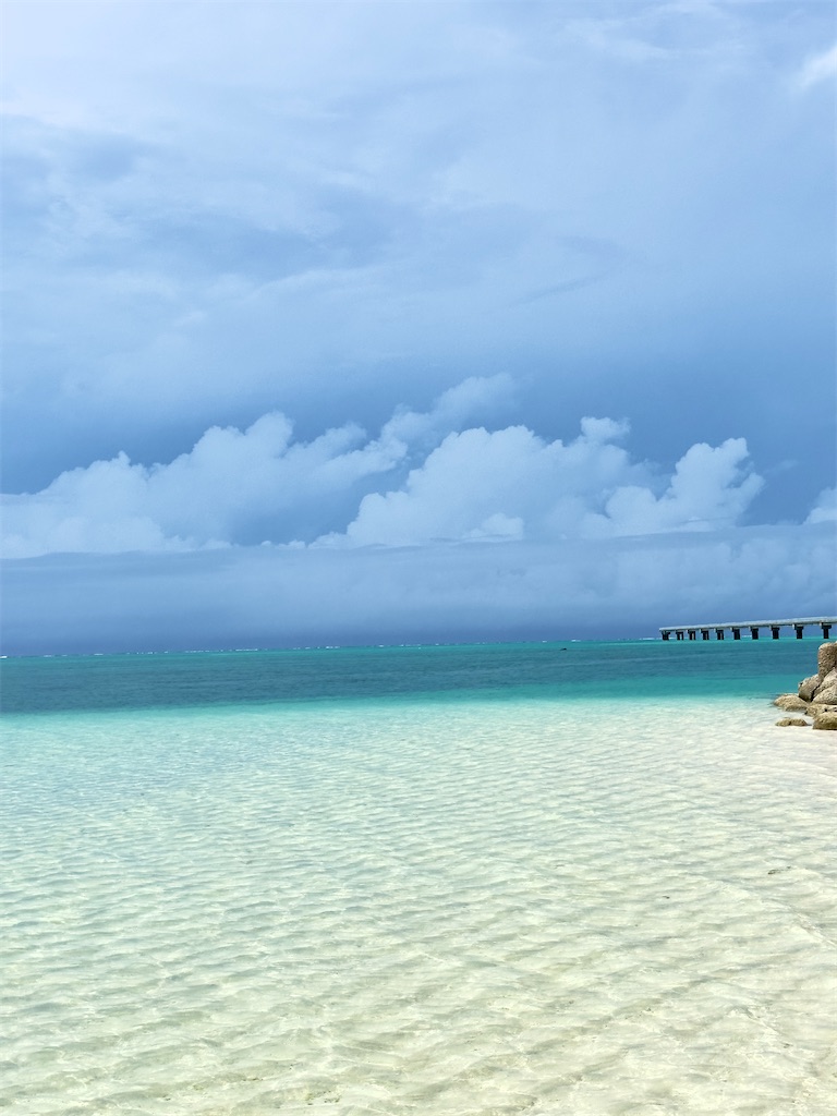 f:id:shingosfc:20240528213918j:image