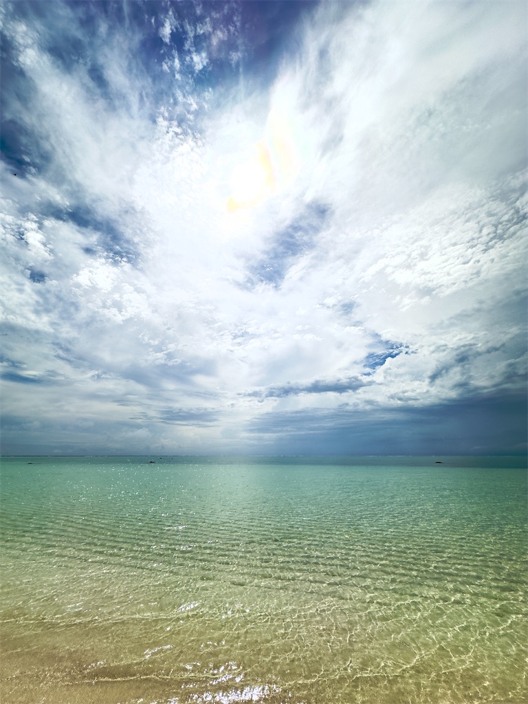 f:id:shingosfc:20240528213921j:image