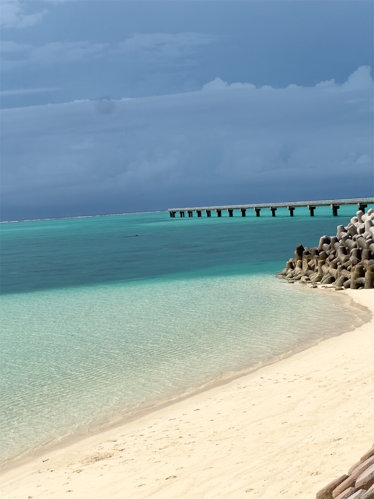 f:id:shingosfc:20240528213926j:image