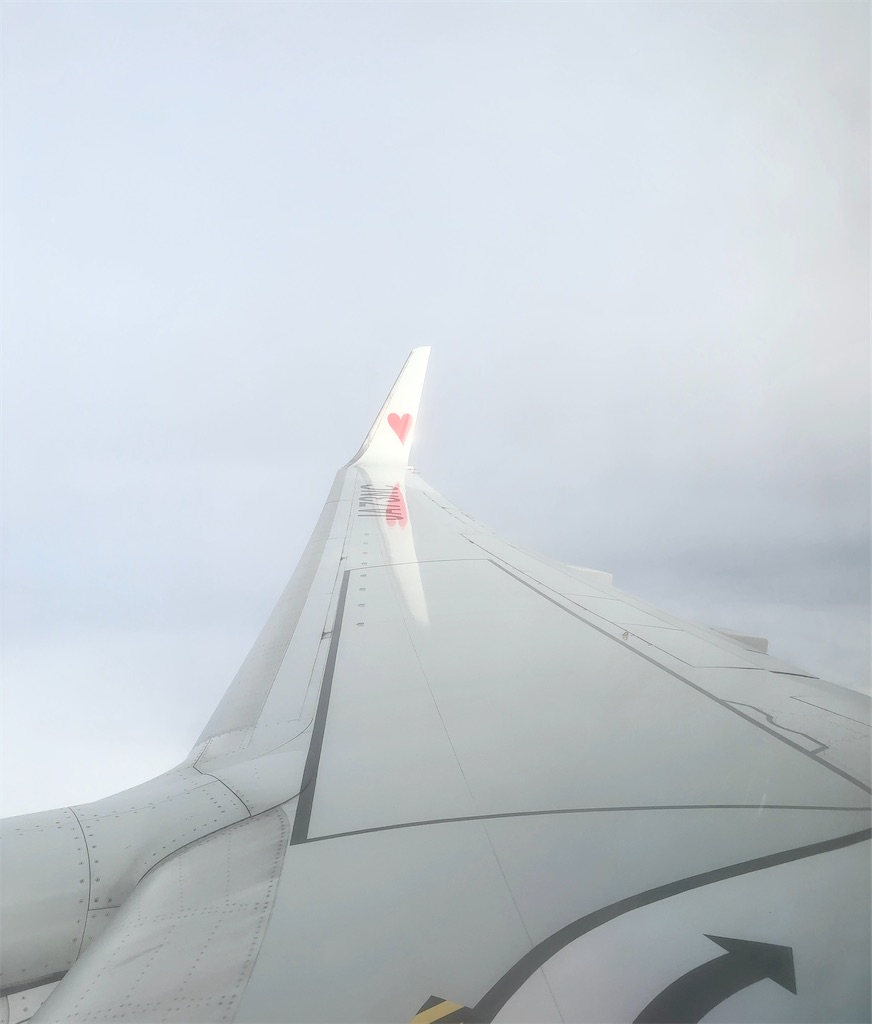 f:id:shingosfc:20240528214912j:image