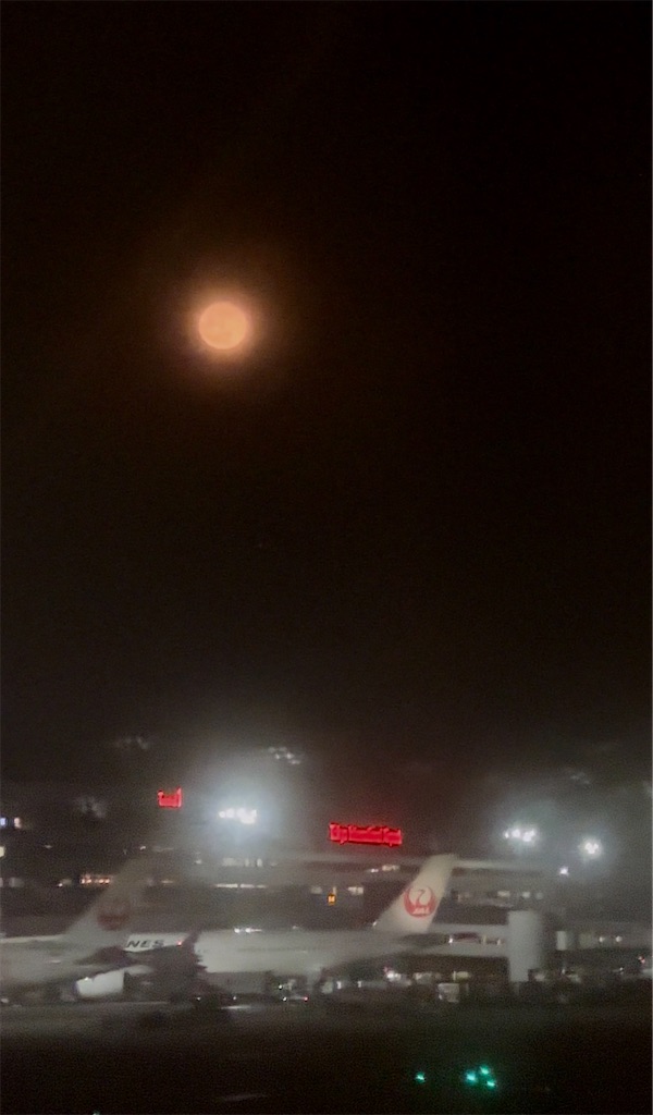 f:id:shingosfc:20240604215443j:image