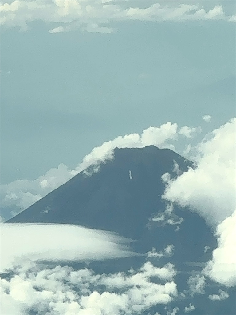 f:id:shingosfc:20240726184409j:image