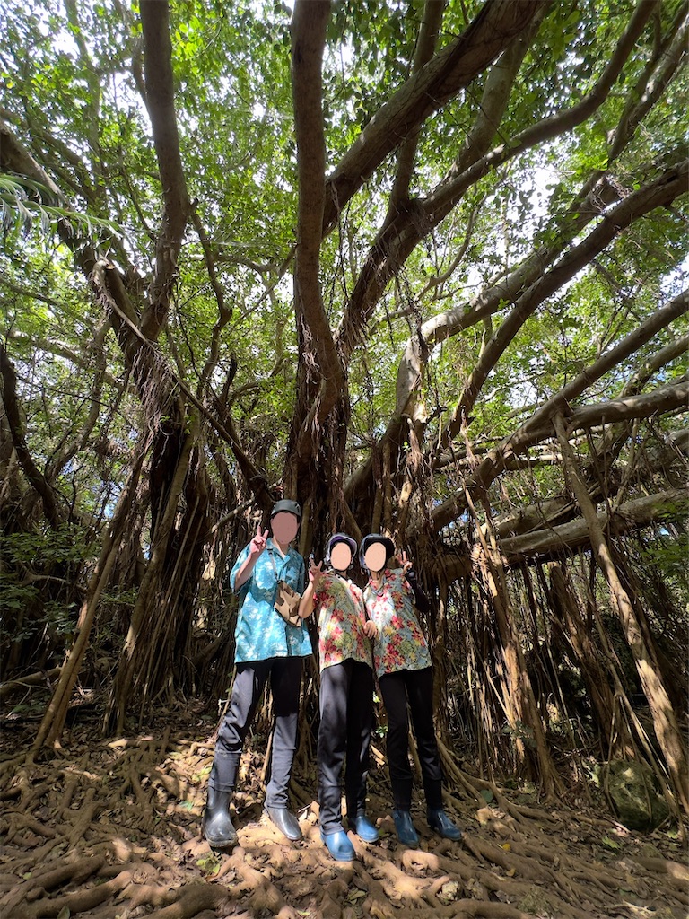 f:id:shingosfc:20240807205532j:image