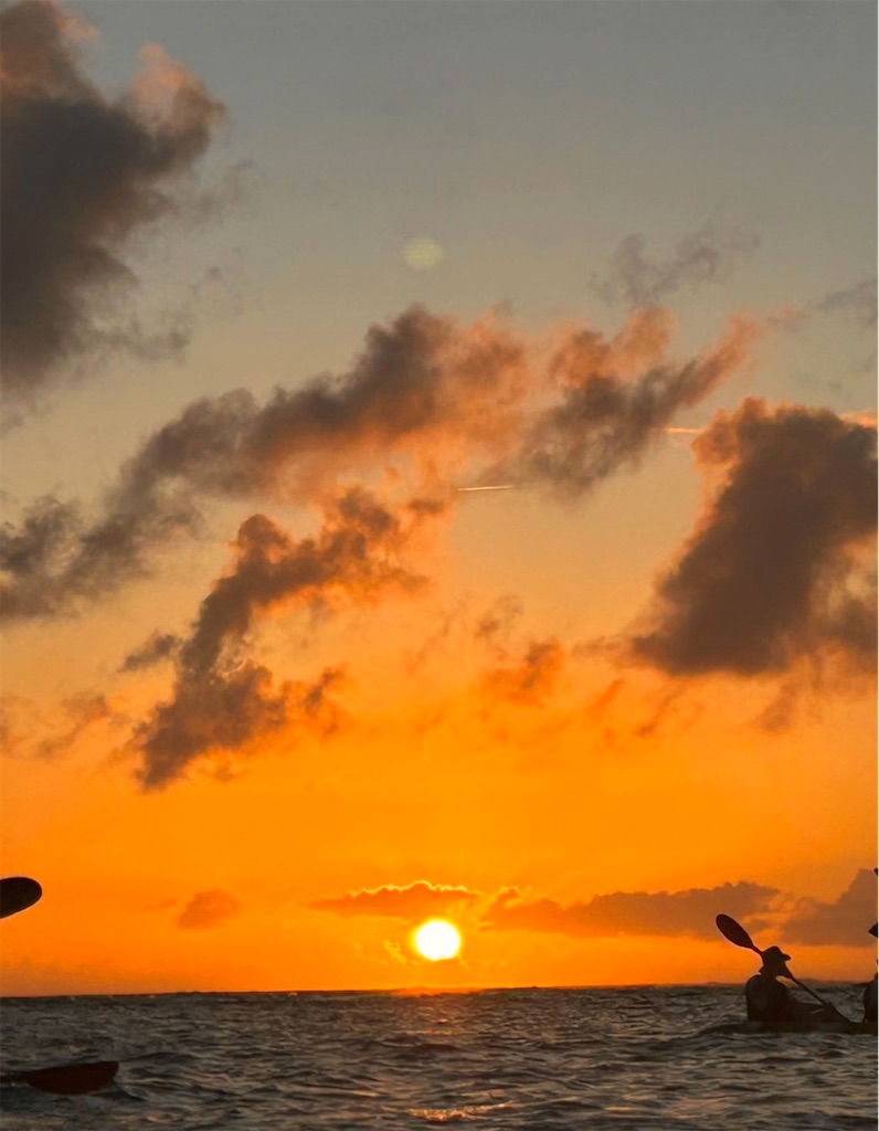 f:id:shingosfc:20240807213359j:image