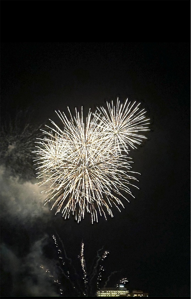 f:id:shingosfc:20240807213637j:image