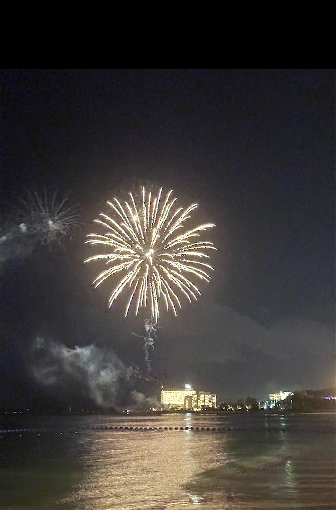 f:id:shingosfc:20240807213640j:image