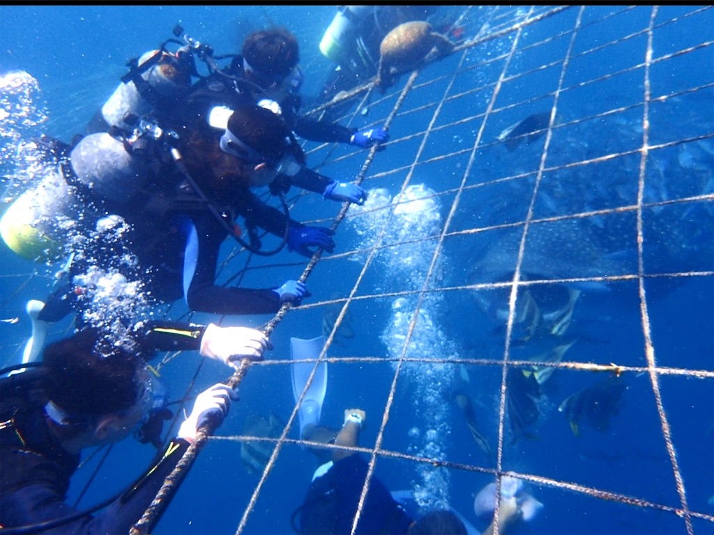 f:id:shingosfc:20240812171754j:image