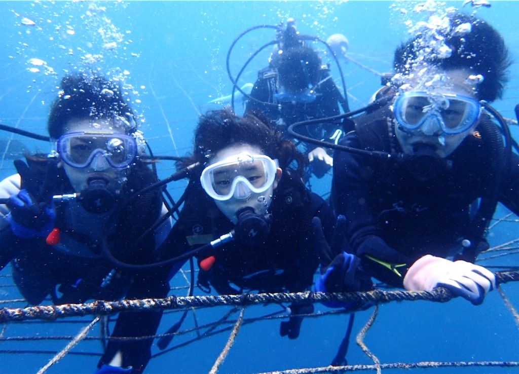 f:id:shingosfc:20240812171925j:image