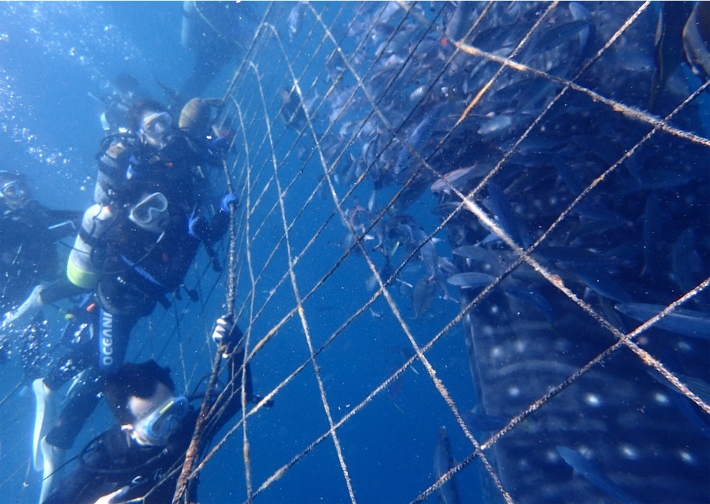 f:id:shingosfc:20240812192620j:image