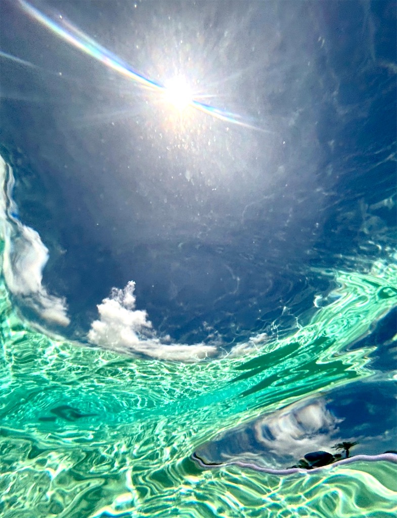 f:id:shingosfc:20240824125410j:image