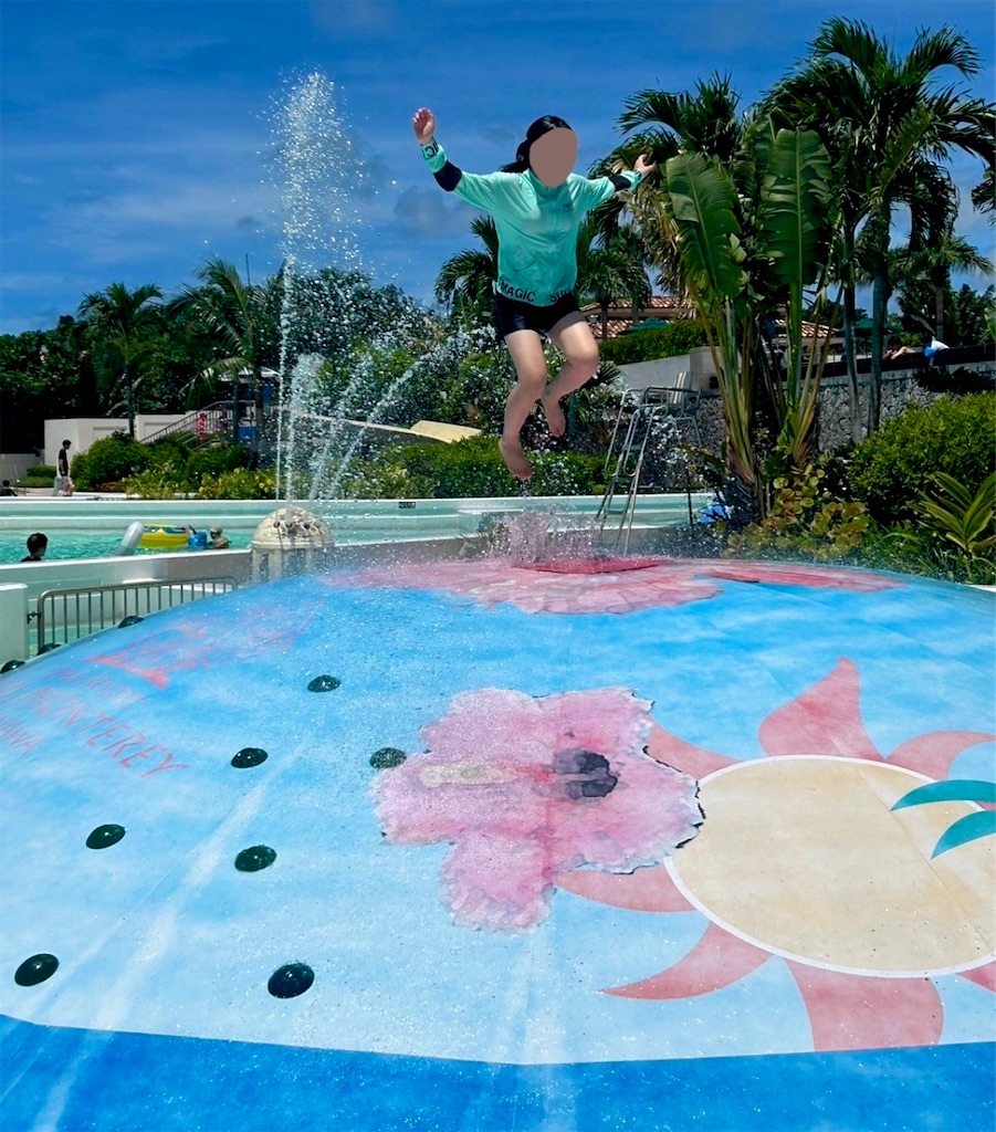 f:id:shingosfc:20240827231144j:image