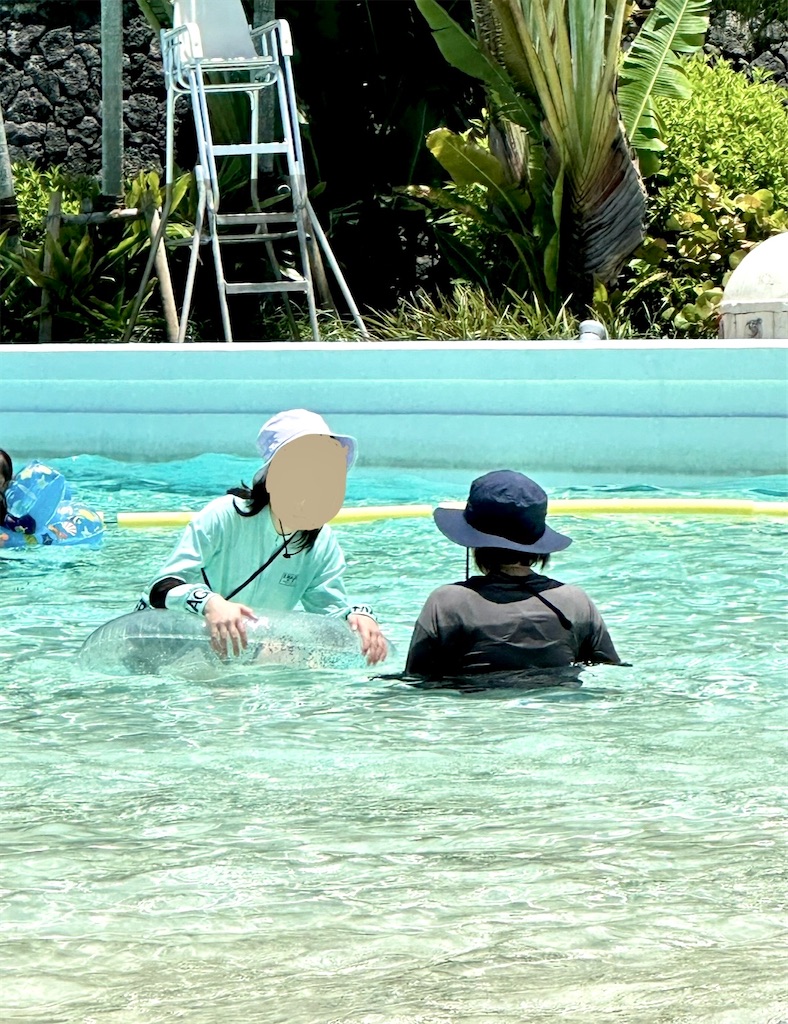 f:id:shingosfc:20240827232039j:image