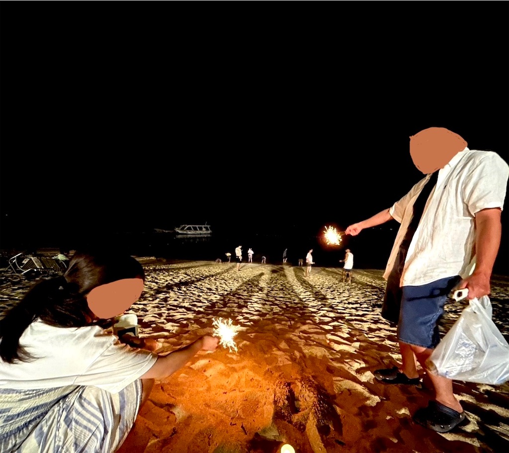 f:id:shingosfc:20240903193502j:image