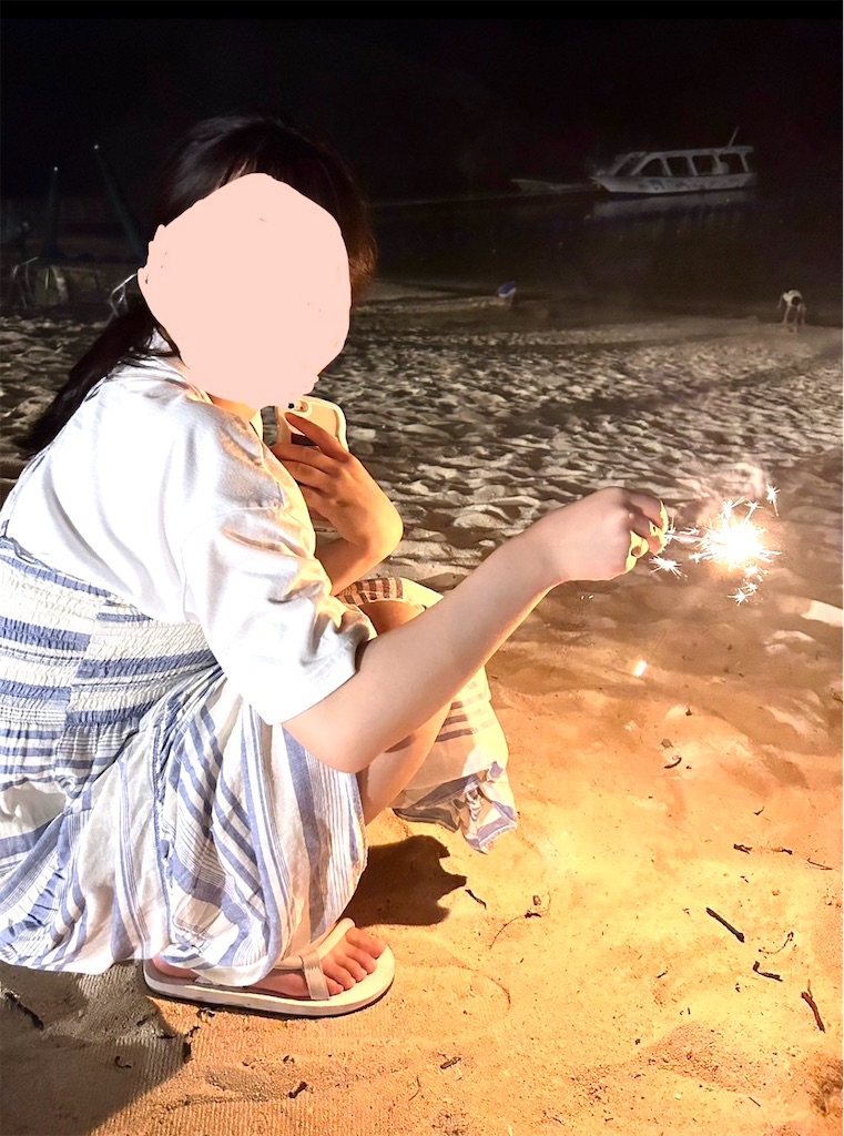 f:id:shingosfc:20240904204941j:image