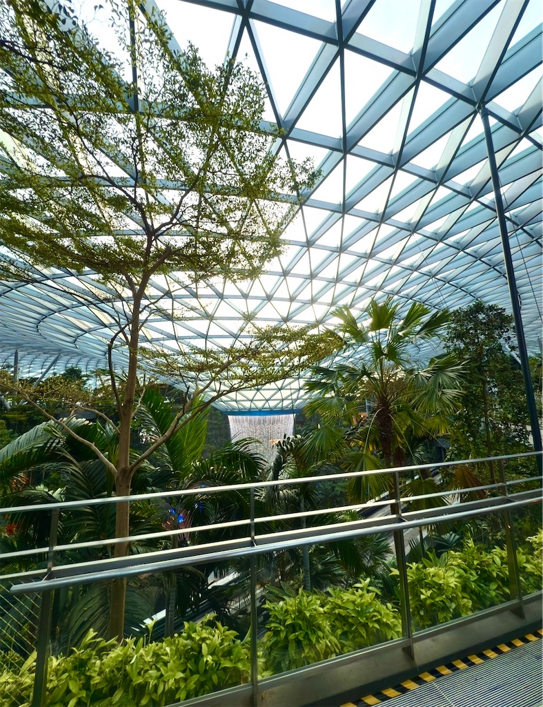 f:id:shingosfc:20250719120134j:image