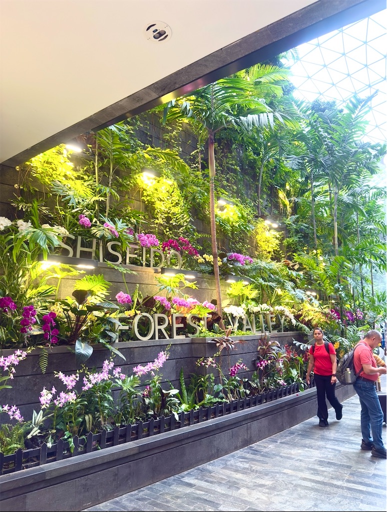 f:id:shingosfc:20250719120139j:image