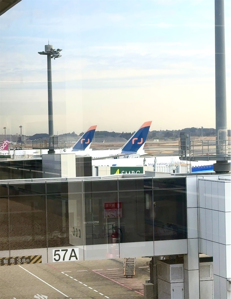 f:id:shingosfc:20250719232834j:image