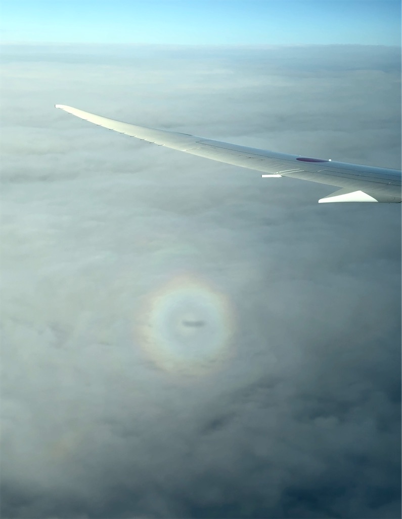 f:id:shingosfc:20250719232841j:image