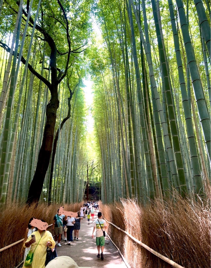 f:id:shingosfc:20250728222846j:image