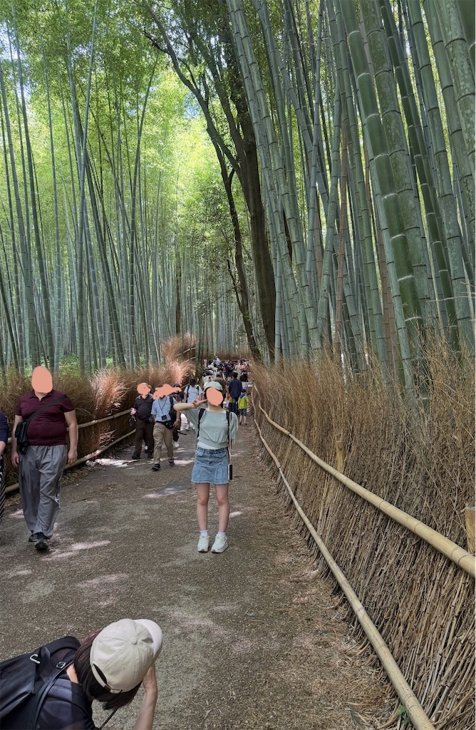 f:id:shingosfc:20250728222850j:image