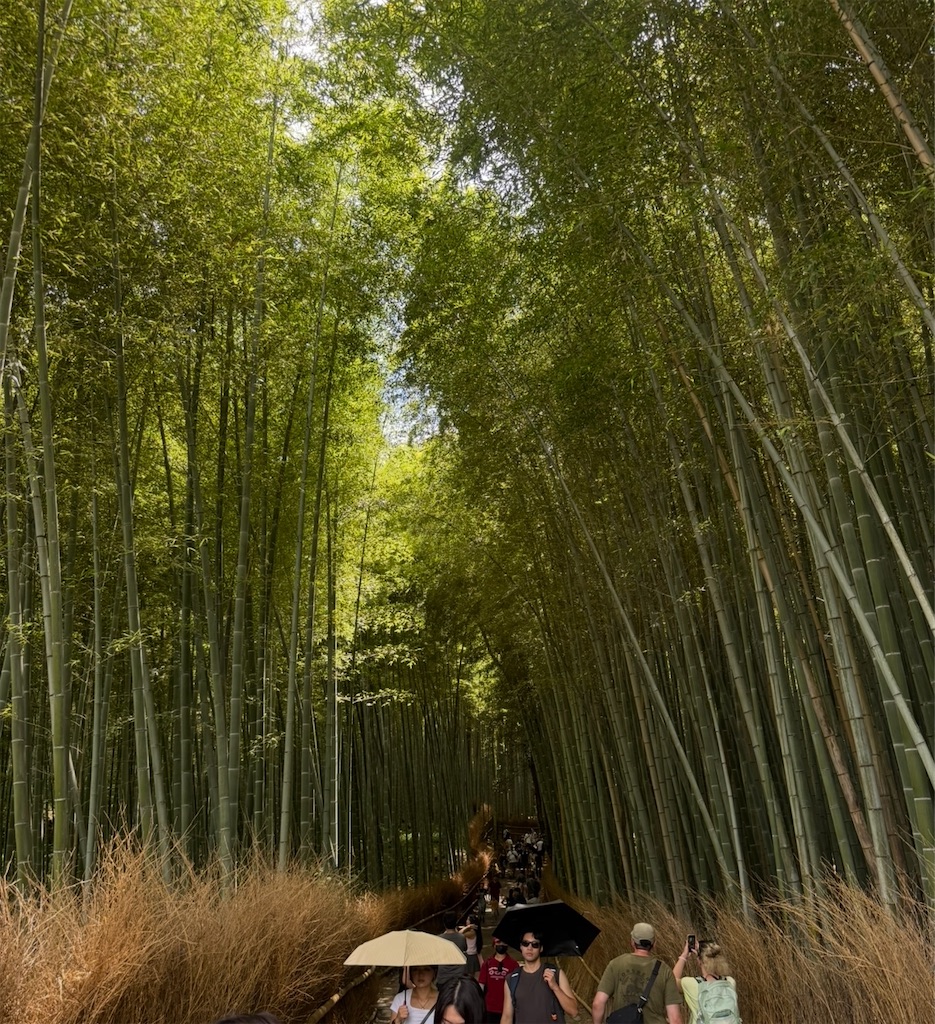 f:id:shingosfc:20250728222852j:image