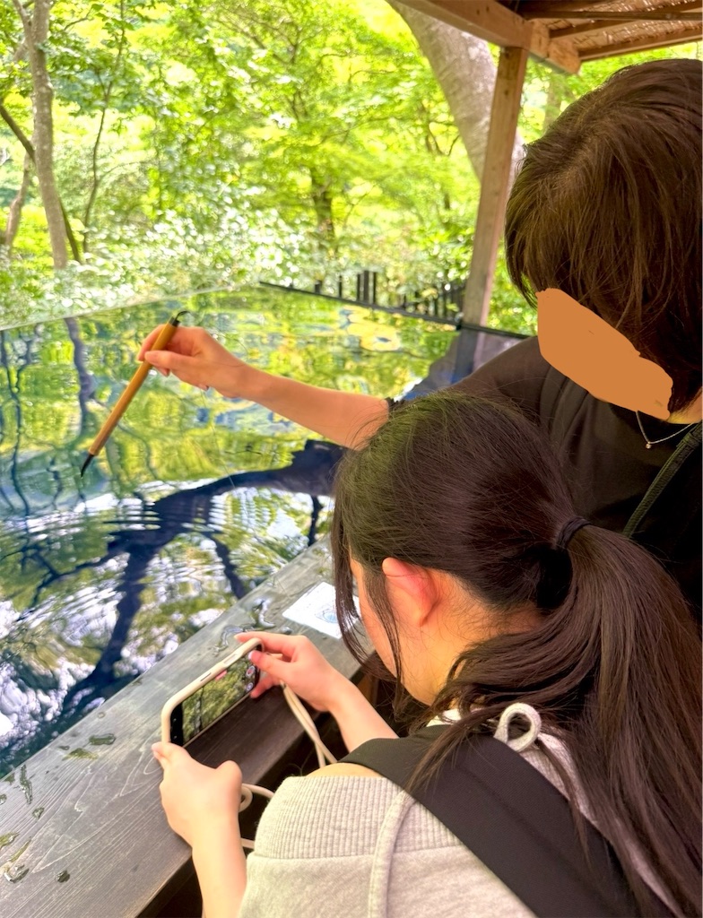 f:id:shingosfc:20250728224211j:image