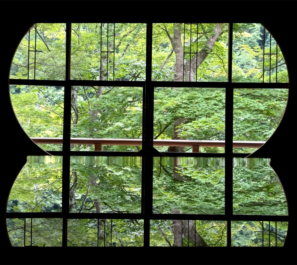 f:id:shingosfc:20250728224235j:image