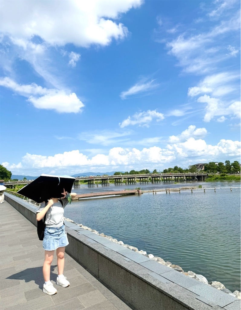 f:id:shingosfc:20250728224723j:image