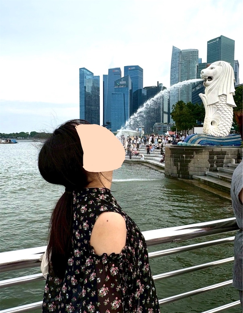 f:id:shingosfc:20250914220748j:image