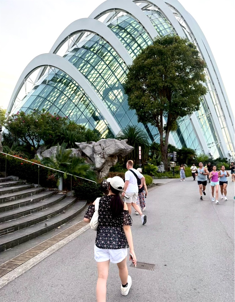 f:id:shingosfc:20250914221426j:image